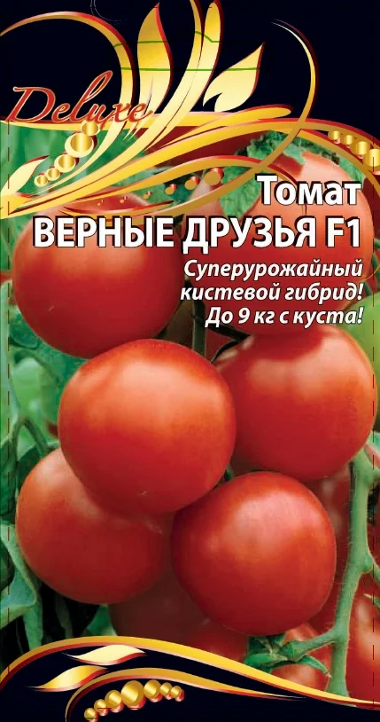 Миниатюра изображения сорта Верные друзья 