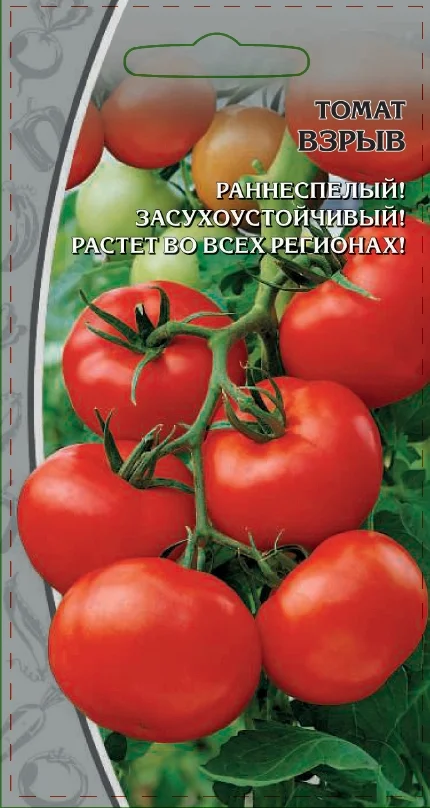 Миниатюра изображения сорта Взрыв