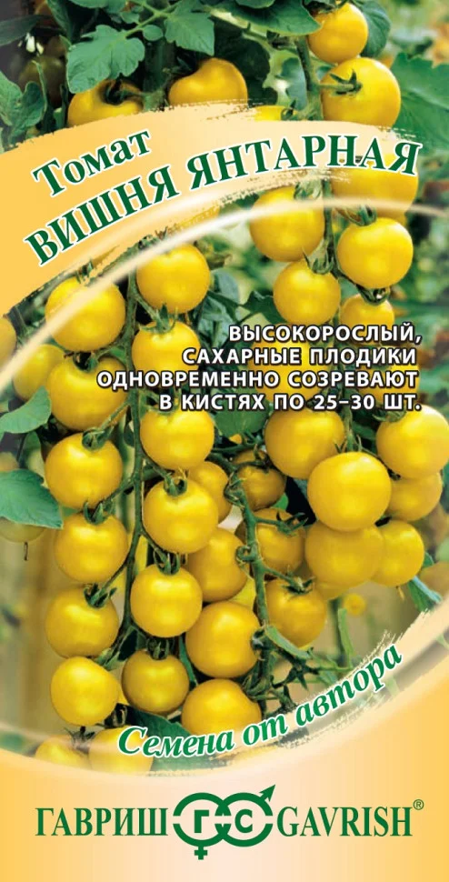 Вишня янтарная