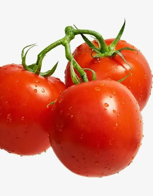 Миниатюра изображения сорта Вкусника