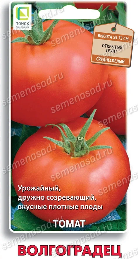 Миниатюра изображения сорта Волгоградец 