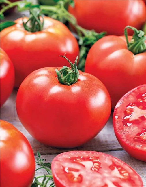 Миниатюра изображения сорта Волгоградский 5/95