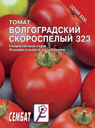 Миниатюра изображения сорта Волгоградский скороспелый 323