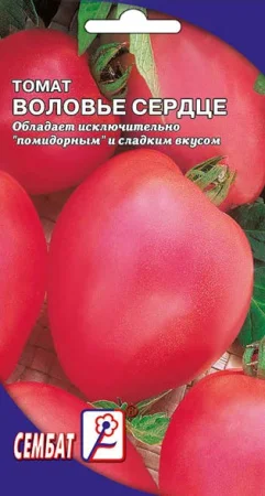 Миниатюра изображения сорта Воловье сердце
