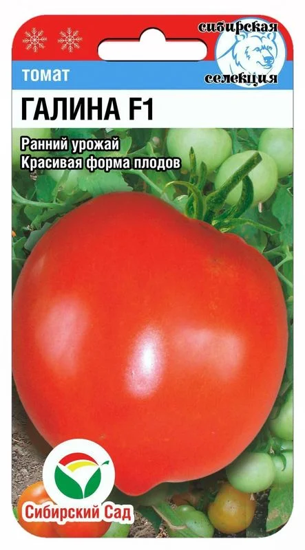 Миниатюра изображения сорта Галина 