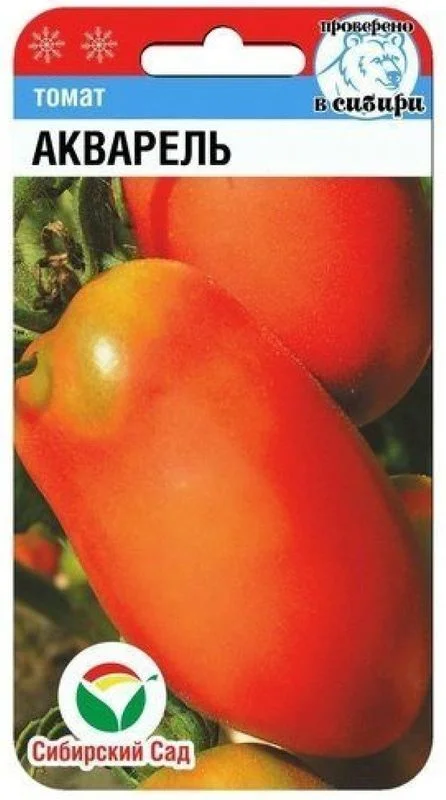 Миниатюра изображения сорта Акварель