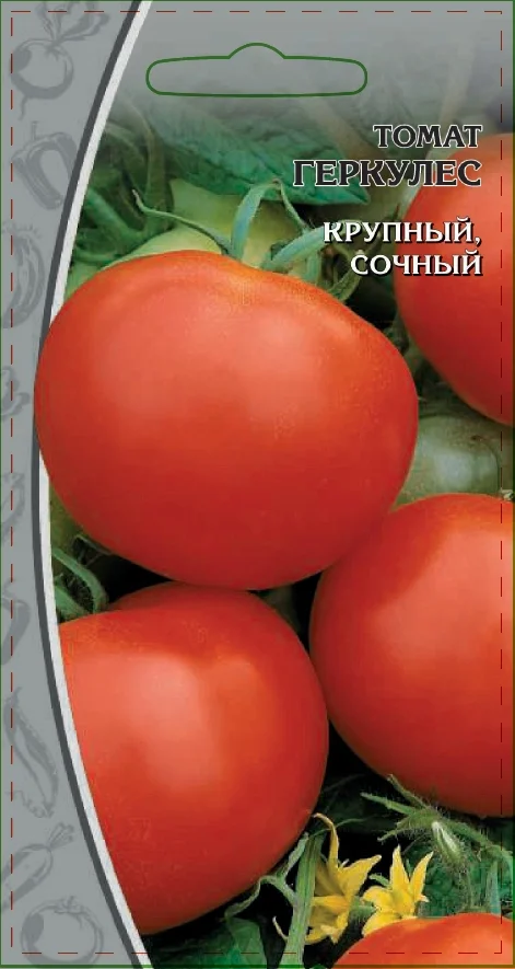 Миниатюра изображения сорта Геркулес 