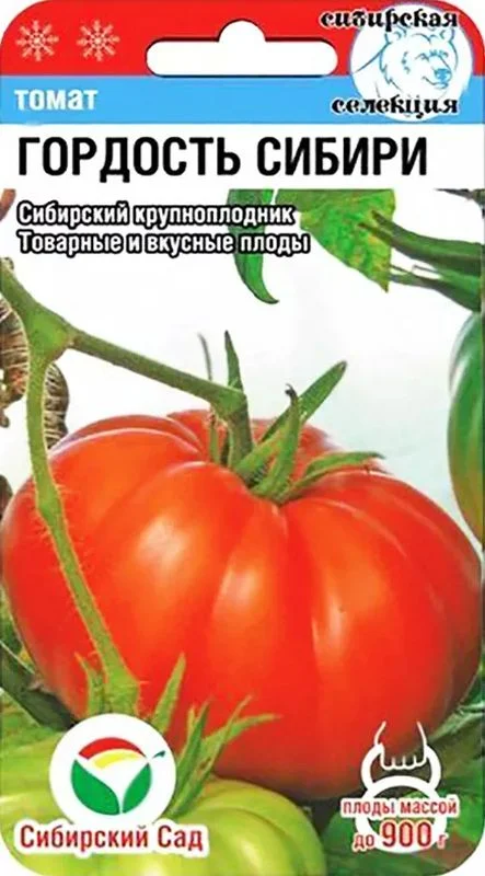 Миниатюра изображения сорта Гордость Сибири