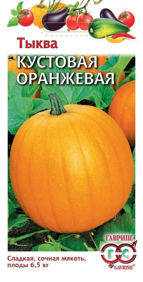 Кустовая оранжевая  