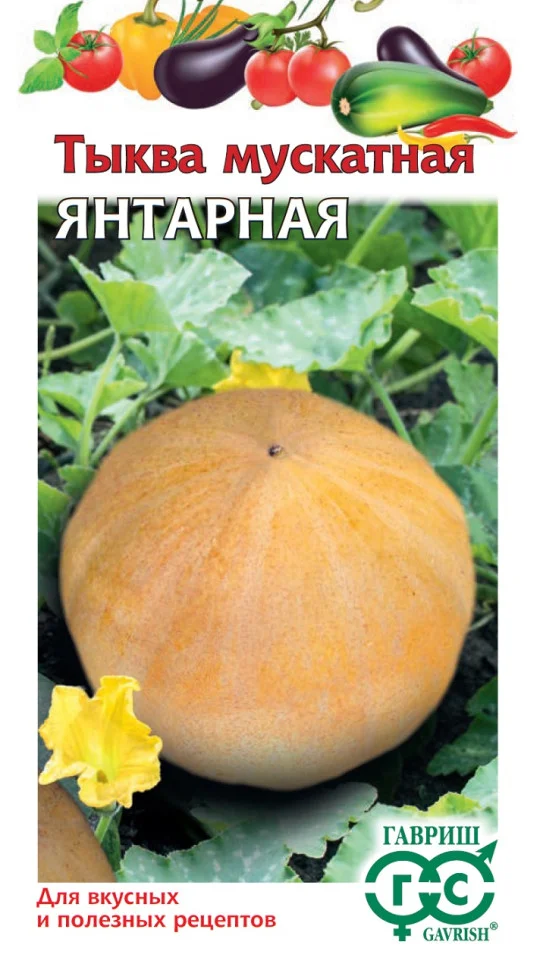 Янтарная 