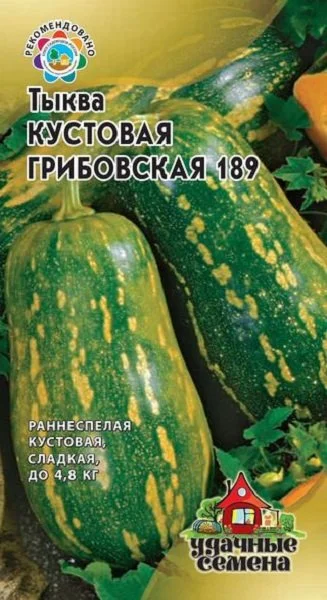 Миниатюра изображения сорта Грибовская кустовая 189