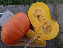 Красный этамп 