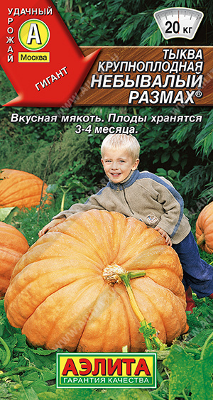Небывалый размах 
