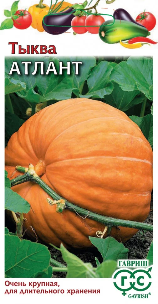 Миниатюра изображения сорта Атлант