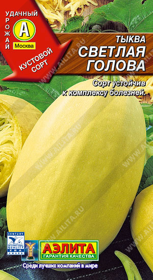 Светлая голова