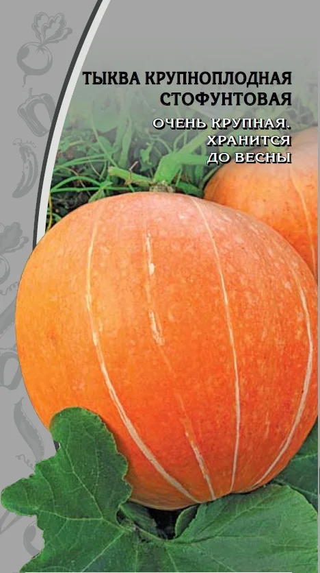 Миниатюра изображения сорта Стофунтовая