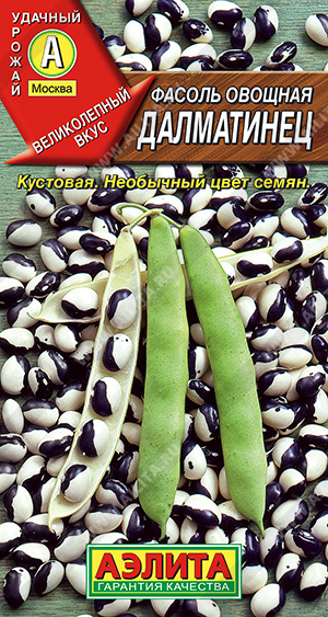 Далматинец