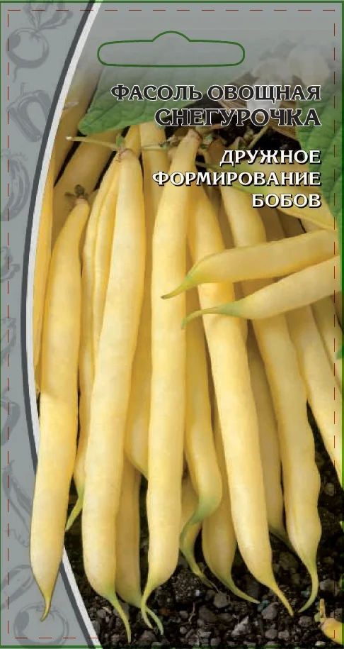 Миниатюра изображения сорта Снегурочка 