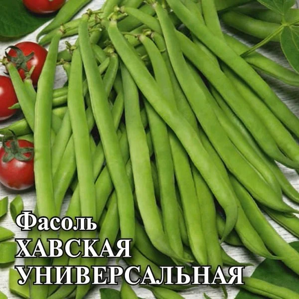 Хавская универсальная