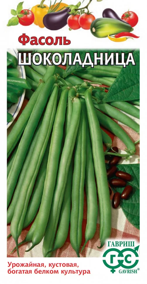 Шоколадница