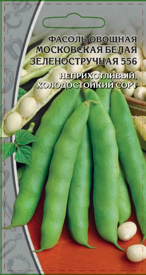 Миниатюра изображения сорта Московская белая зеленостручная 556