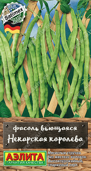 Некарская королева