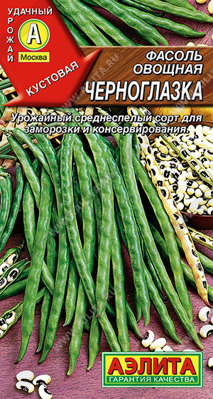 Черноглазка