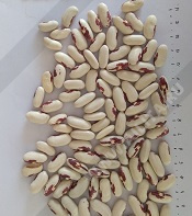 Красный глаз орла