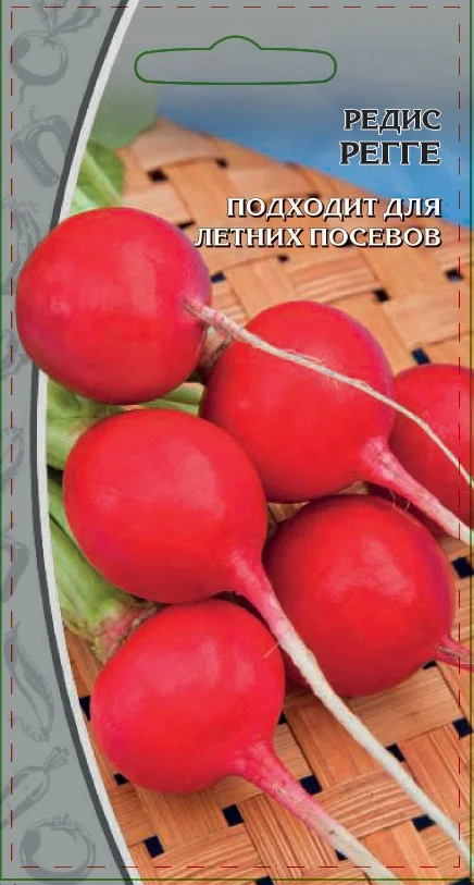 Миниатюра изображения сорта Регге