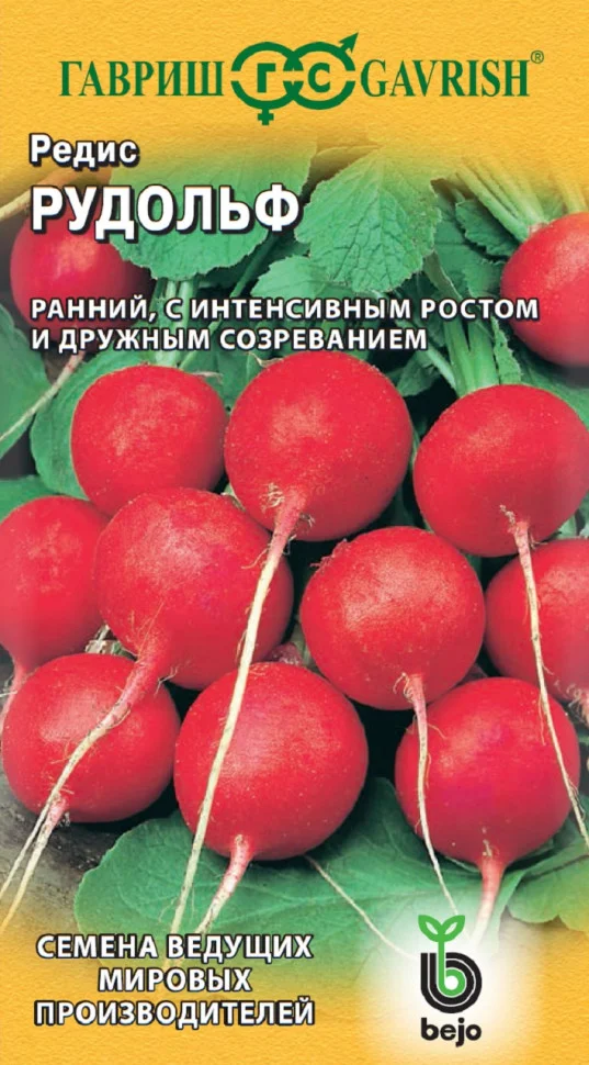 Рудольф