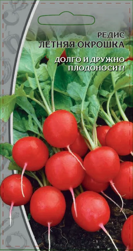 Летняя окрошка