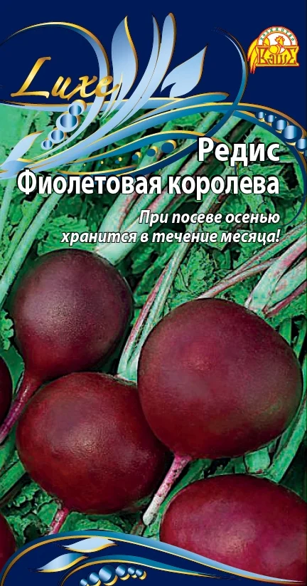 Фиолетовая королева