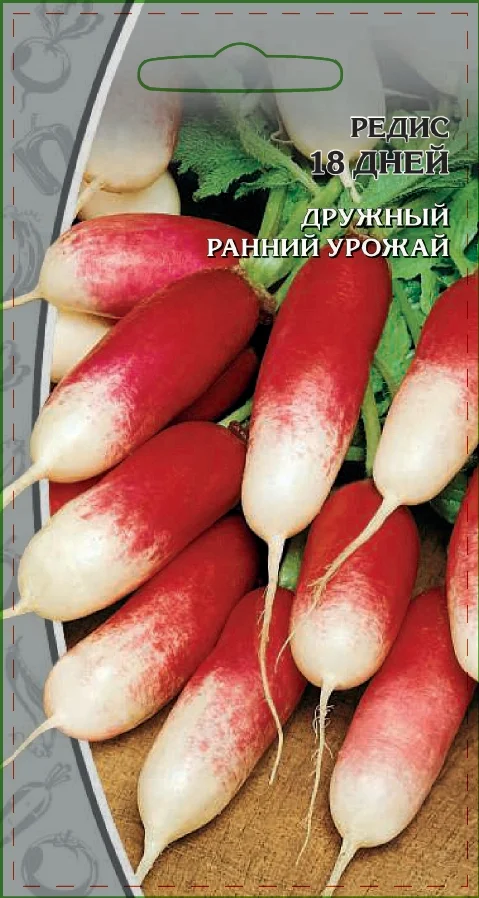 Миниатюра изображения сорта 18 дней