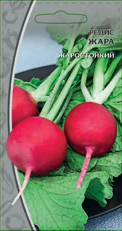 Миниатюра изображения сорта Жара