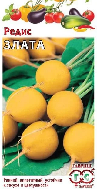 Миниатюра изображения сорта Злата