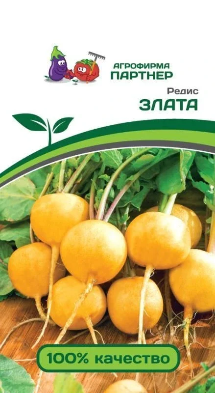 Миниатюра изображения сорта Злата