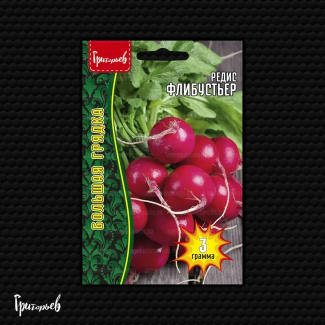 Флибустьер