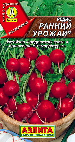 Ранний урожай