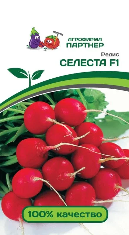 Миниатюра изображения сорта Селеста