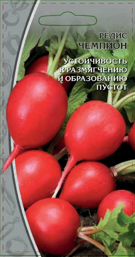 Миниатюра изображения сорта Чемпион