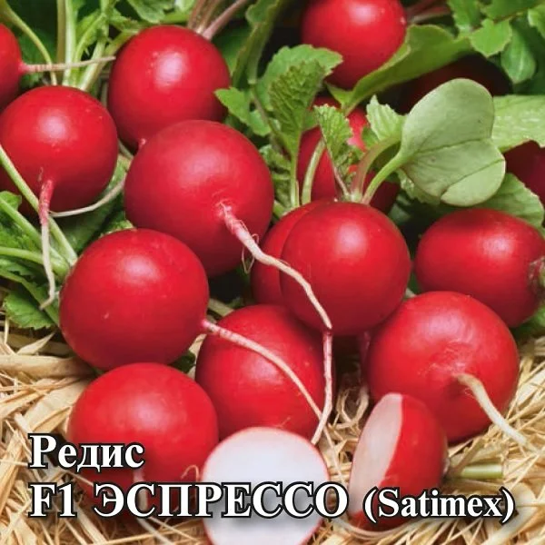 Миниатюра изображения сорта Эспрессо