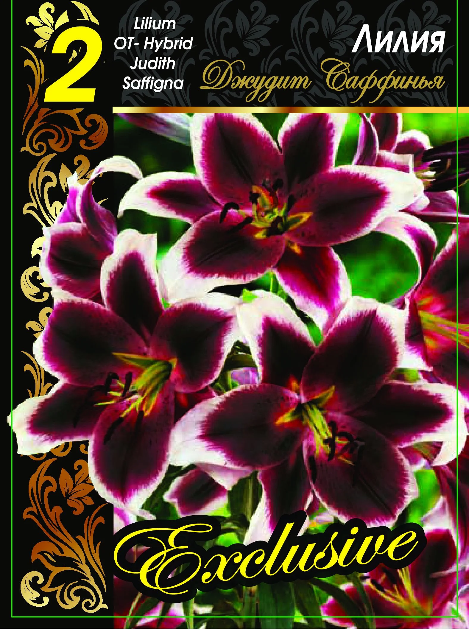 Джудит Саффинья