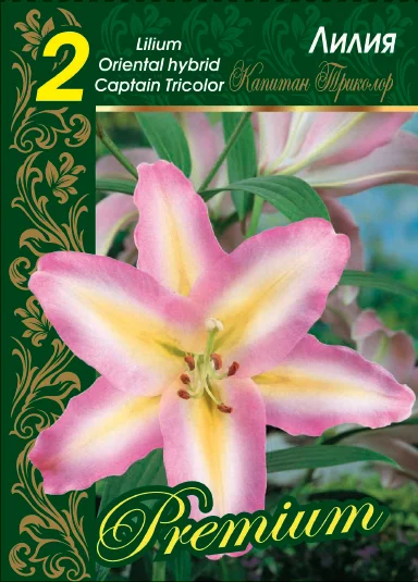 Капитан Триколор