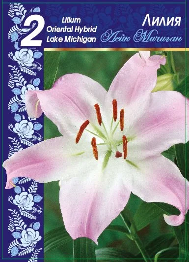 Лейк Мичиган