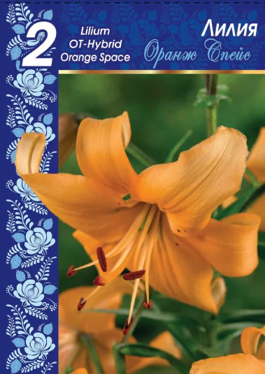 Оранж Спейс