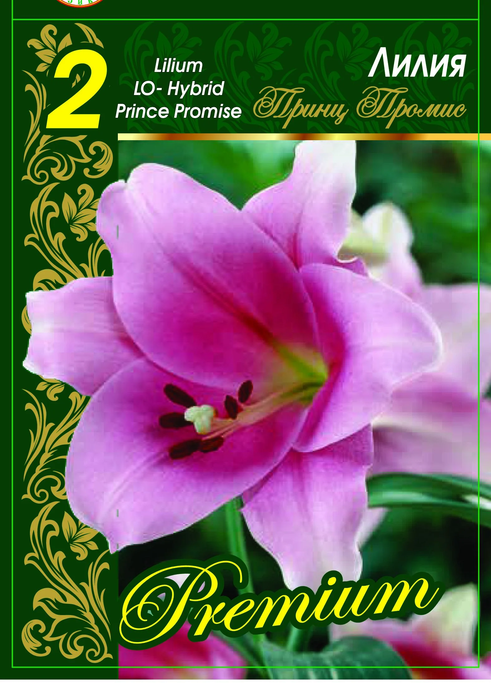 Принц Промис