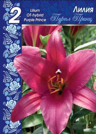 Пурпл принц