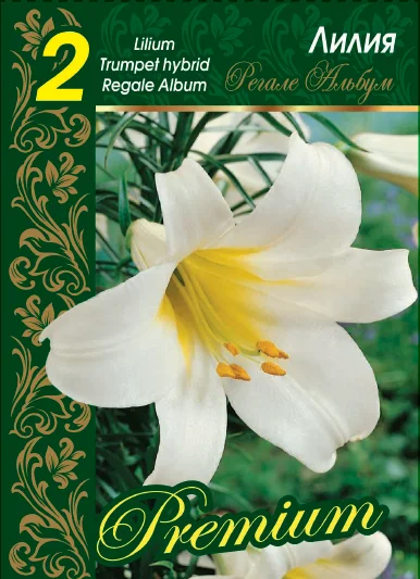 Регале Альбум