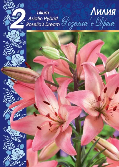 Розеллас Дрим