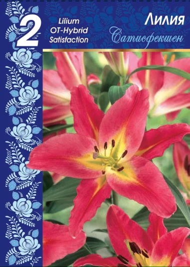 Сатисфекшн